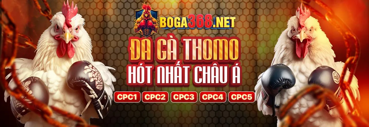Các tính năng nổi bật của ứng dụng Zubet