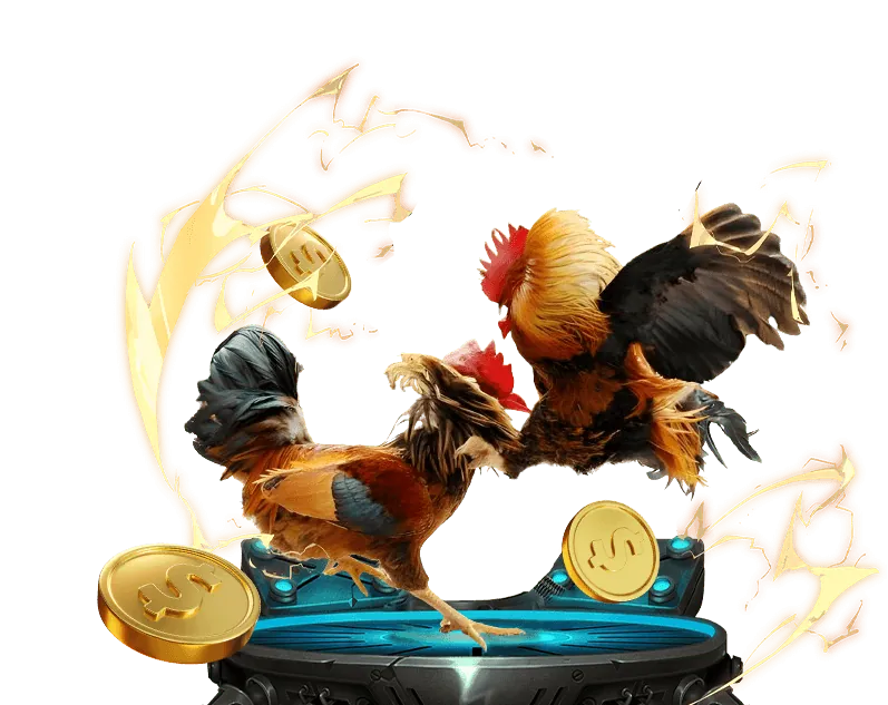 Chuyển khoản ngân hàng tại Zubet Đăng Ký